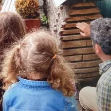 Einblick in das Naturmaterial Holz
