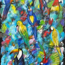 Bunte Vögel