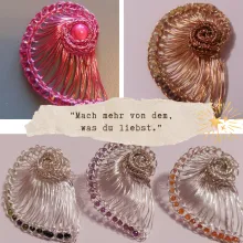 Nautilus in verschiedenen Varianten