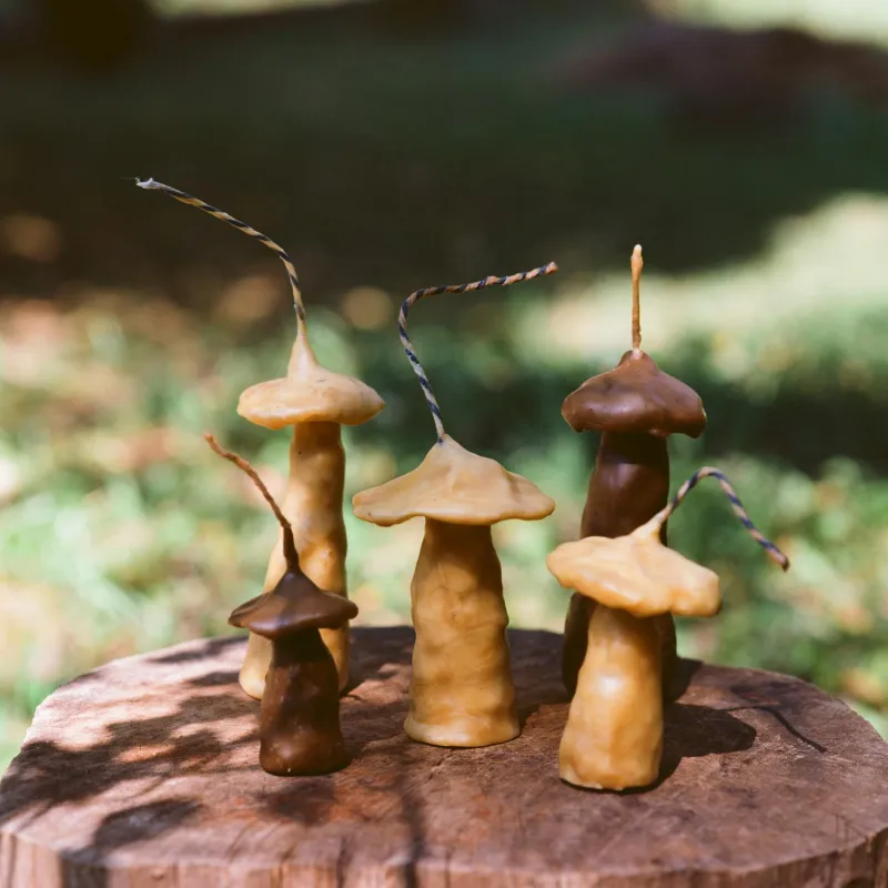 Wax candle