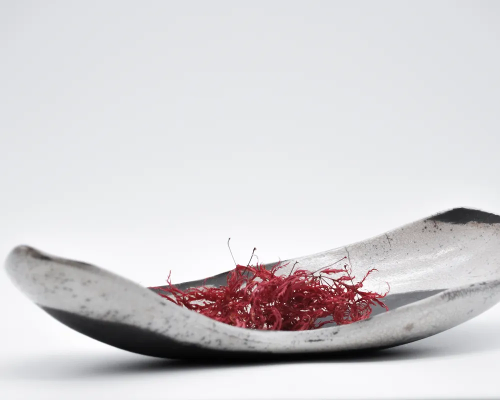 Jana Schmid RAKU-SCHALE