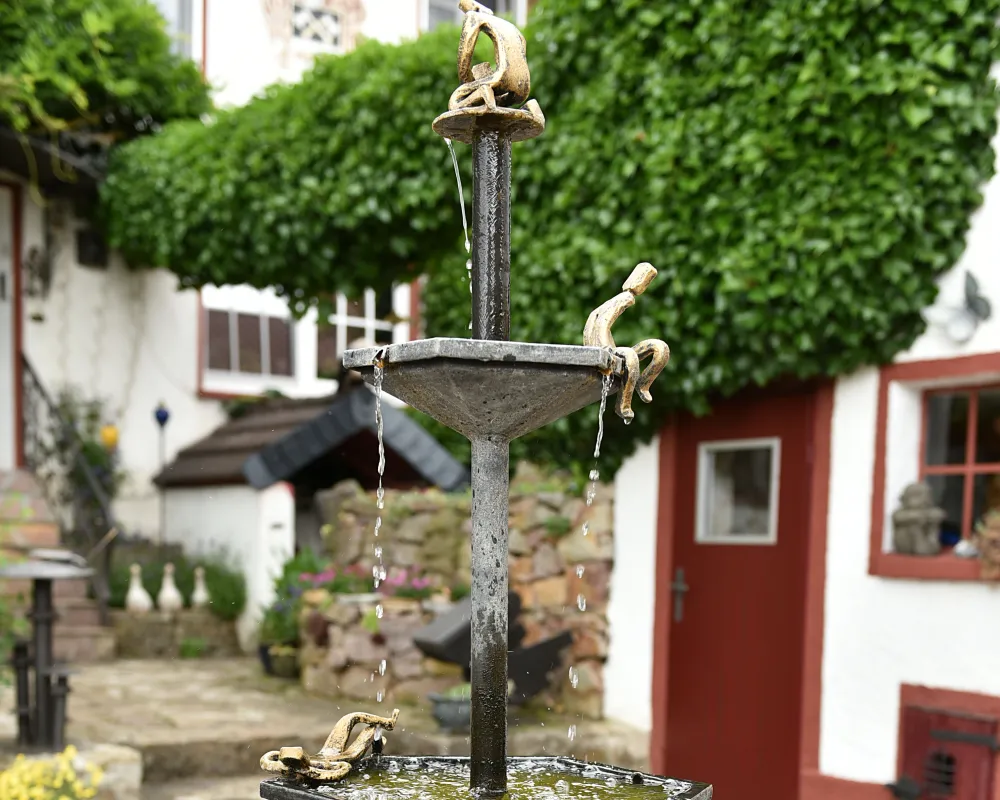 Ellen Lanz Unser Brunnen im Hof