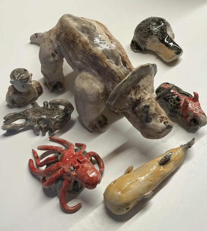 MBV Kleine Tiersammlung