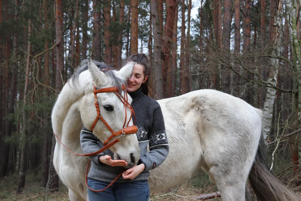 Sidepull mit Flechtung und Punzierung