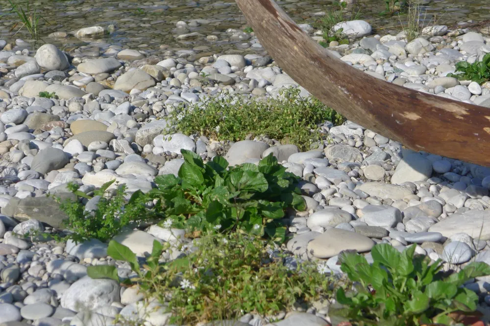 An der Isar, wo wir die schönen Steine finden