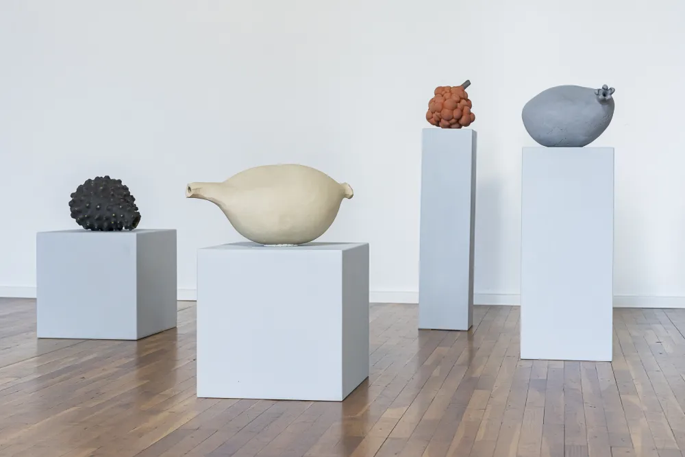 Matthias Ritzmann, Künstlerhaus188 e.V. Serie Früchte