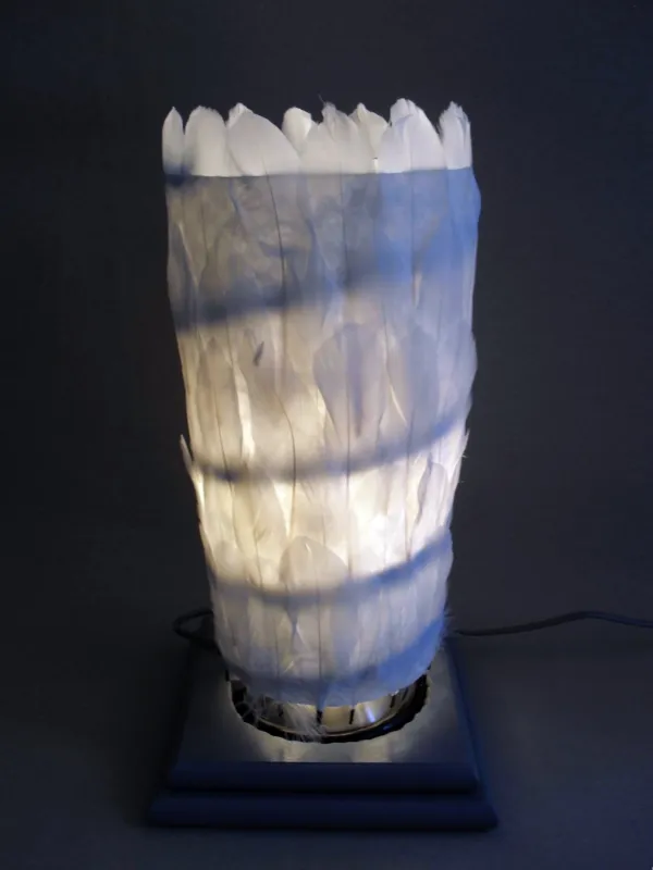 Barbara Sowa, Federlampe