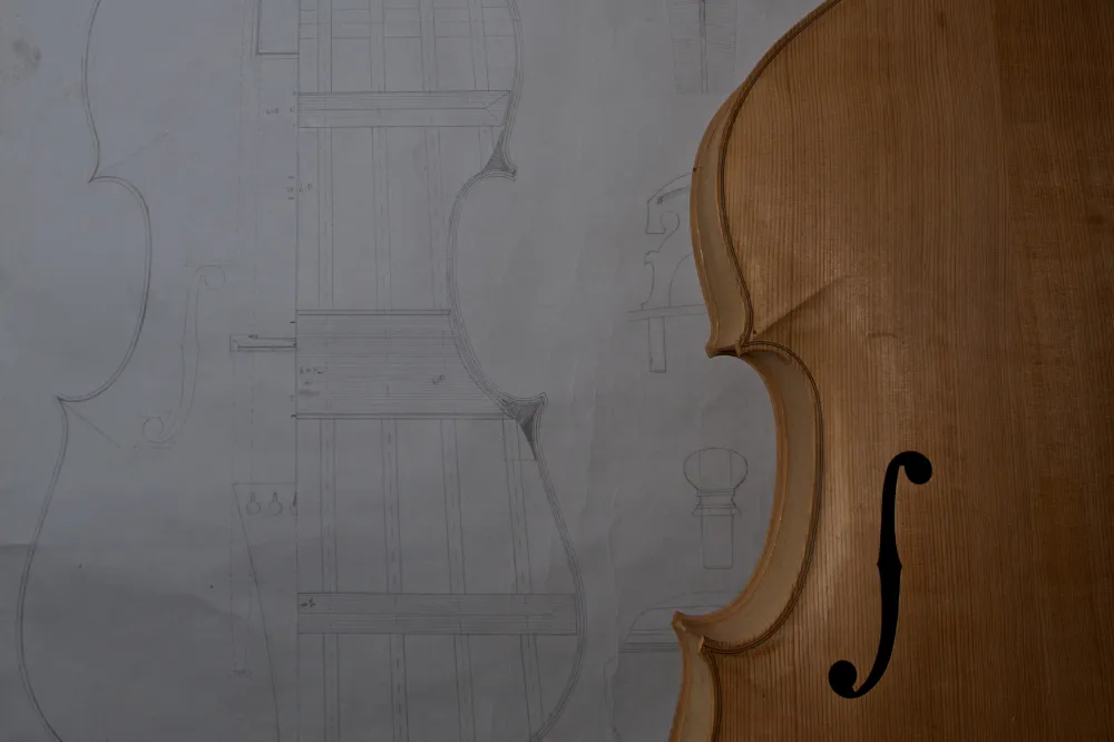 Violone im Neubau