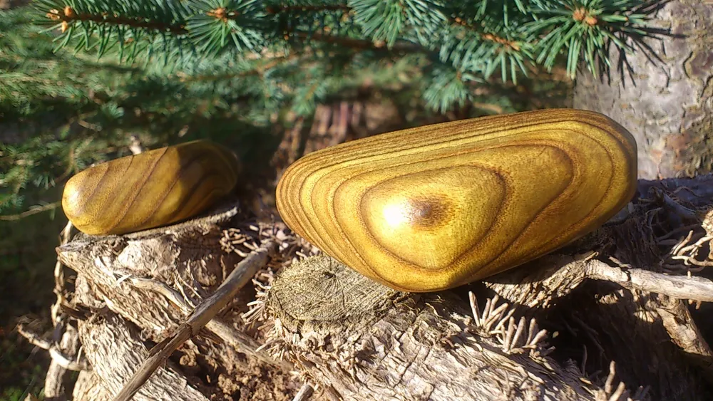 Handschmeichler aus Essigbaumholz 
