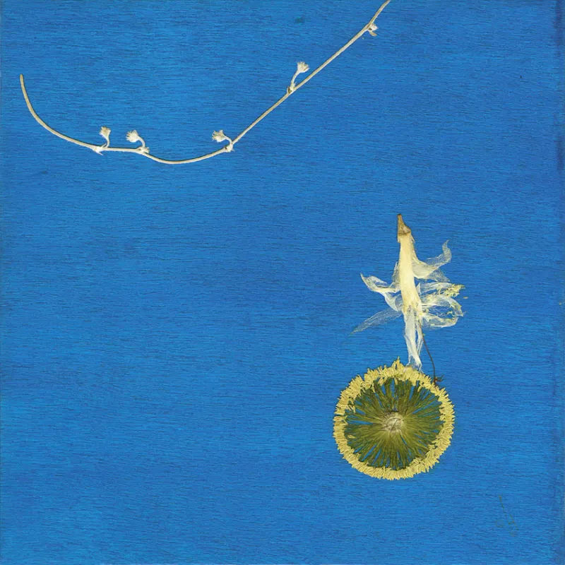 Tina Altus - Blütenkunstwerk "Tänzer" 50 x 50 Tänzer auf blauem Untergrund